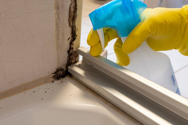 Crawl Space Mold Removal in Ferron, UT