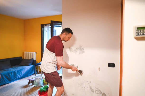 Best Same-Day Mold Removal  in Ferron, UT